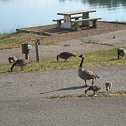 Picture 105